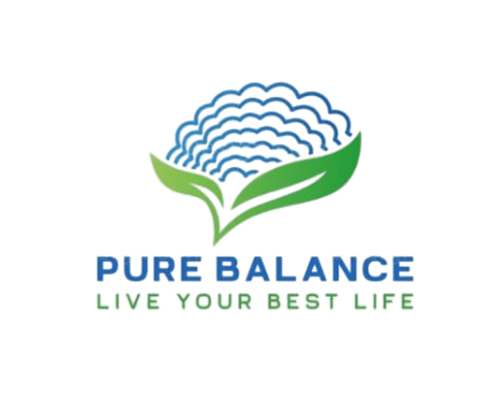 logo of pure balance
